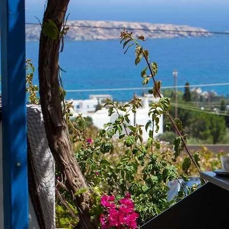 Aloe Paros Suites And Studios ドリオス エクステリア 写真