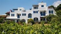 Aloe Paros Suites And Studios ドリオス エクステリア 写真
