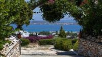 Aloe Paros Suites And Studios ドリオス エクステリア 写真