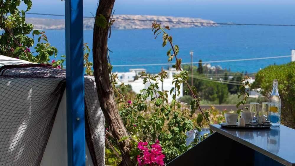 Aloe Paros Suites And Studios ドリオス エクステリア 写真